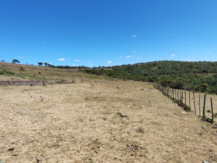 Commercial Property for Sale in Komga Rural Eastern Cape